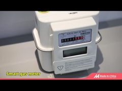 IOT slimme gasmeter, LoRaWAN/Cat.1/RS485-communicatie met AMI/AMR-oplossingen